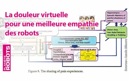 Les robots plus empathiques grace à la perception de la douleur